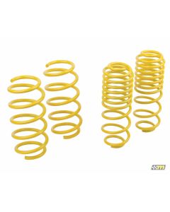 mountune Sport Spring Set 2014-2015 Fiesta ST - MOUN-2364-MSK-BA