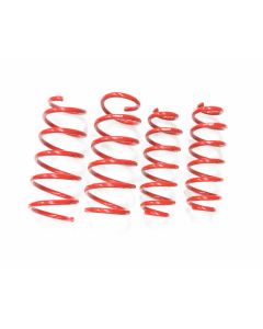 Tanabe Sustec NF210 Lowdown Coil Spring Toyota Prius V 12-13- TNF167