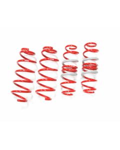 Tanabe Sustec NF210 Lowdown Coil Spring Toyota Prius C 12-13- TNF168