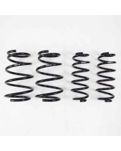 RS-R Down Suspension Springs LEXUS ES350 2019+