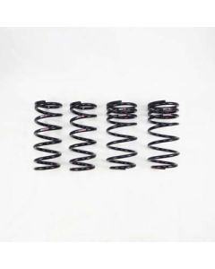 RS-R Ti2000 Down Lowering Springs for Lexus LC500 2018 - T981TD