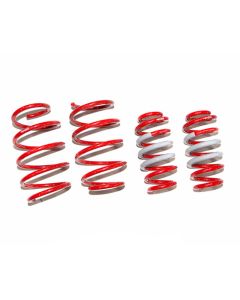 Tanabe NF210 Lowering Spring Lexus NX200t 2016+- TNF196